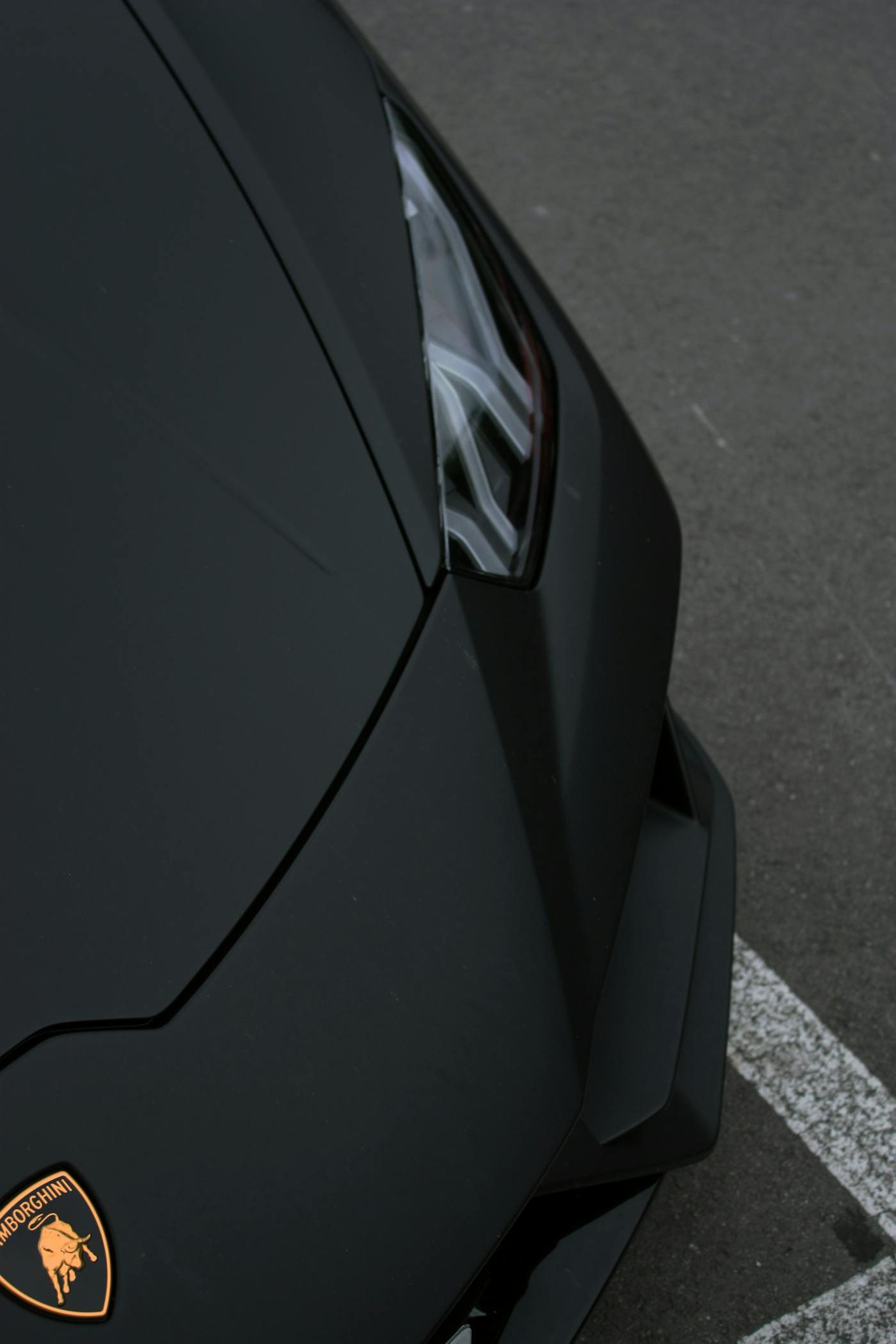 Paint protection
